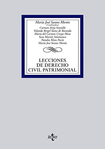 Libro Lecciones De Derecho Civil Patrim 14*te De Vvaa Tecnos