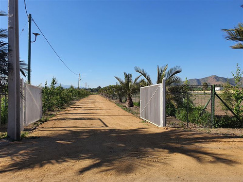 Vendo Terrenos Urbanizados Cercados Rol Propio, Isla De Maip