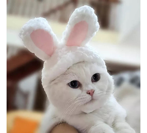 Disfraz De Conejo Para Gato O Perro Mini Pascuas Halowen