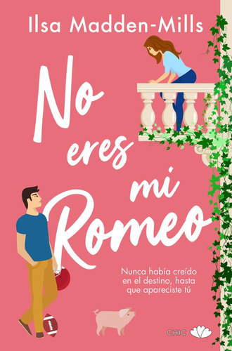 No Eres Mi Romeo, De Ilsa Madden Mills. Editorial Chic, Tapa Blanda En Español