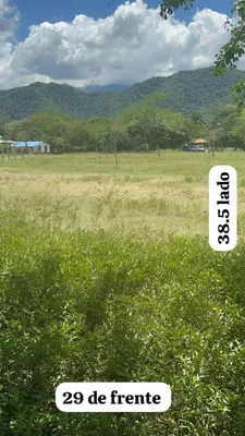 Lote y casalote en venta