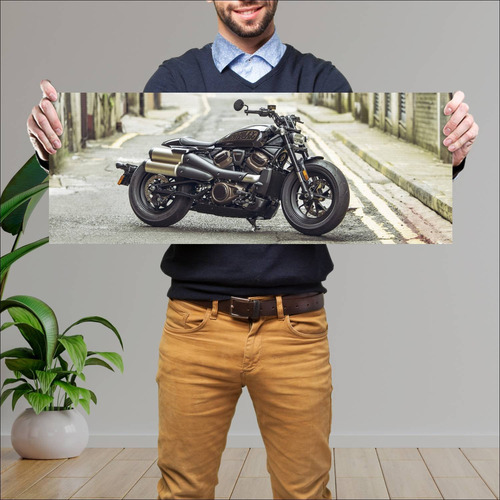 Cuadro 30x80cm Moto Harley Davidson Sportster 2