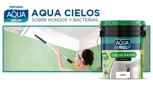 Cielos Rasos Sobre Hongos Y Bacterias 3.6lts Belco F19