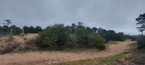 Terreno Muy Alto A La Venta En Punta Del Diablo