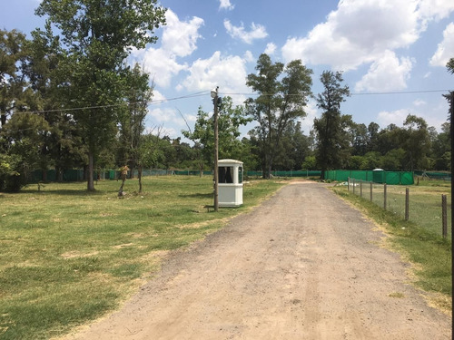 Imagen 8 de 21 de Lote En Barrio Semi - Cerrado 10x32.5 M2- Francisco Alvarez -venta Por Cesion