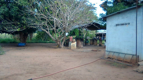Imagen 8 de 10 de Se Vende Finca En Caicarita Ve02-005cdm-ml