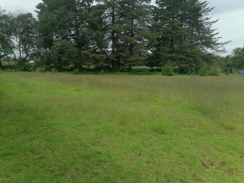 Imagen 5 de 12 de Terreno En Venta Santo Tomás Allende