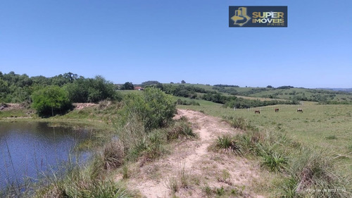 Imagem 16 de 30 de Fazenda A Venda No Bairro Centro Em Canguçu - Rs. - 2495-1