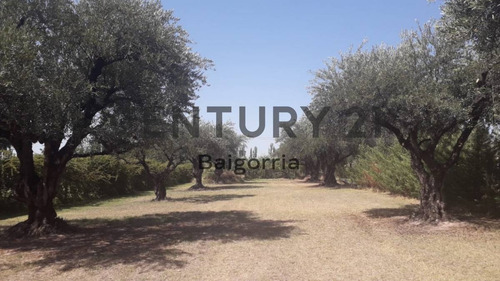 Imagen 13 de 15 de Terreno En Venta -barrio Cerrado Ecos De Olivares - Russel - Maipú Id: 46457