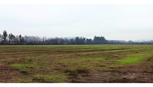 Terreno Agrícola En Venta, Campo De 16,4 Ha, San Clemente
