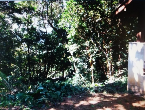 Terreno Venda Caraguatatuba - Sp - Cocanha - 4123