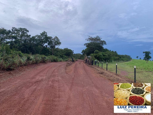 Imagem 6 de 15 de Fazenda À Venda Em Monte Santo - To - De 83 Alqueirões (dupla Aptidão) - 1623