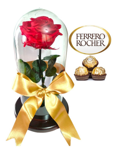  Rosa Preservada Regalo Cúpula Vidrio Color Rojo + Ferrero 