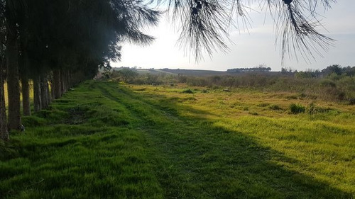 Amplio Terreno De 4,2 Há De 75x570 M. Chacra, Vivienda, Etc.
