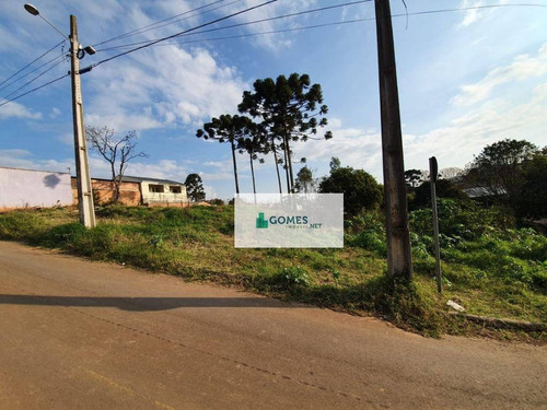 Imagem 5 de 7 de Terreno À Venda, 2150 M² Por R$ 850.000,00 - Gralha Azul - Fazenda Rio Grande/pr - Te0035