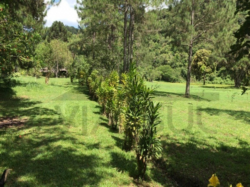 Imagem 9 de 15 de Sitio À Venda Em Juquitiba - 328 - 32982545