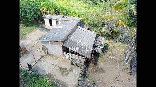 Imagem 18 de 30 de Sítio À Venda Em Igarapé Bairro Jardim Vila Rica - Si0095
