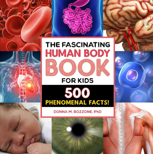 Human Body Book Cuerpo Humano Libro English Phenomenal Facts