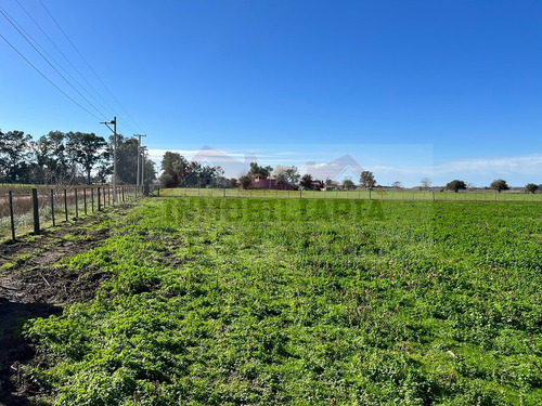 Parcela / Quinta / Chacra / Lote De 1 Ha. (10.000 M2) En Venta. Excelente Ubicación De General Belgrano. Zona De Calle 111 Y 178, Sociedad Rural.