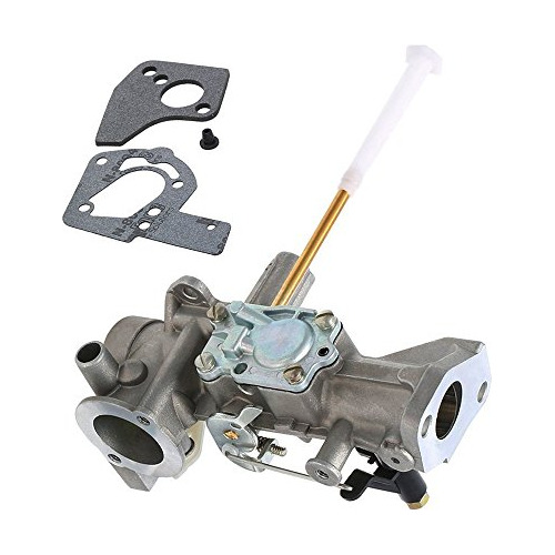 Dfuerdivn Carburetor Compatible Con Briggs Y Stratton 498298