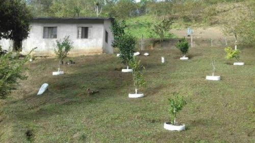 Imagem 2 de 11 de Chácara Em Peruíbe, No Bairro Armando Cunha, Analisa Veículo Como Parte Do Pagamento Ref: 8690/ac