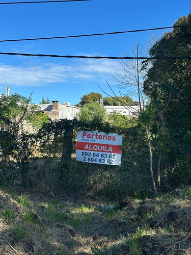 Se Alquila Terreno En Carrasco Norte