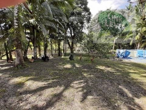 Imagem 15 de 15 de More Ou Invista Em Qualidade De Vida! E Veja O Sol Nascer! - 116