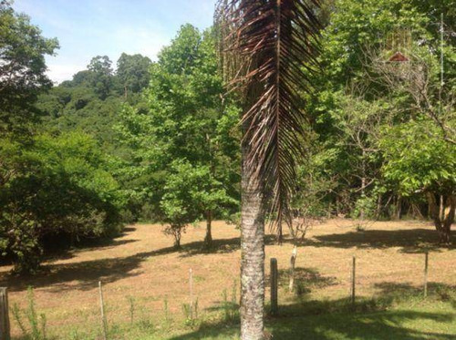 Imagem 20 de 30 de Vendo Chácara De Oito Hectares Em Viamão, Casa Principal, Caseiro, Pavilhões E Área De Lazer - Ch0004