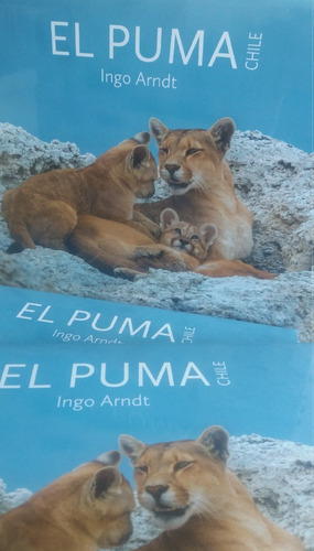 Pack De 3 Libros El Puma