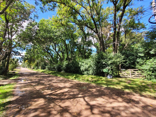 Excelente Terreno En Venta, Robles Del Monarca, La Lonja, Pilar