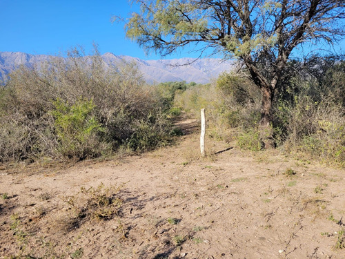 Terreno En San Javier Córdoba Traslasierra Lotes Venta