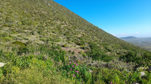 Parcela De 5006 Mt2 En Arrayán Costero, La Serena