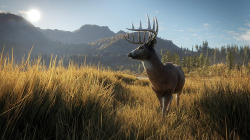 Thehunter: Call Of The Wild, Para Xbox One, Formato Físico