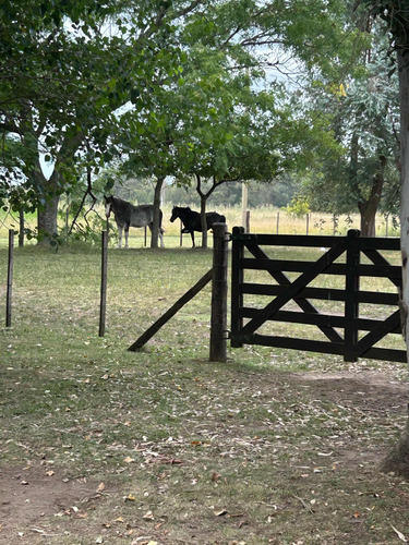Terrenos En Vta En San Miguel Del Monte Desde 1100 Mts