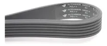 Comprar Correa Poli V Hutchinson Mercedes Benz C220 Diesel