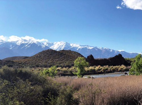 Casa En Venta - 3 Dormitorios 2 Baños - Galpón - 3.000mts2 - Uspallata, Mendoza