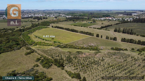 Campos Y Fracciones (ruta 9, Pan De Azúcar) Ref. 5631