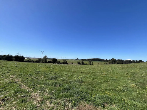 Parcela En Venta En Camino Loncotoro Llanquihue