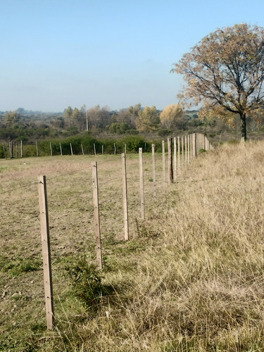 Se Vende Campo Sobre Ruta 8