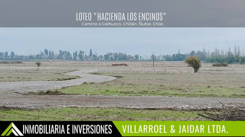 Venta De Parcela Camino A Coihueco