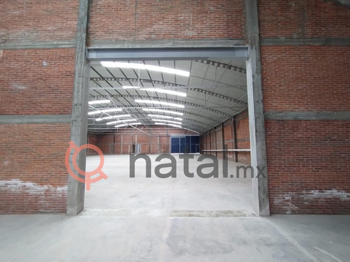 Bodega En Renta Por Hermanos Serdan Francisco Madero Puebla