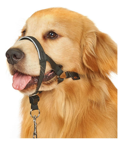 Cuello De La Cabeza Sin Corteza Para Perros, Sin Cabestro De Negro.
