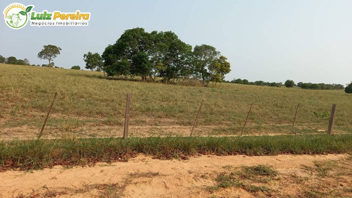 Imagem 12 de 14 de Fazenda Á Venda Em Rio Verde - Ms - 4.200 Hectares (dupla Aptidão) - 2167