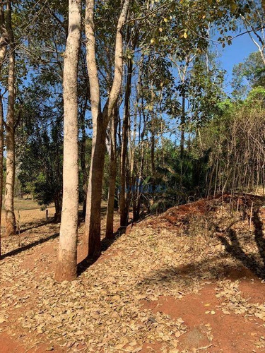 Imagem 13 de 25 de Chácara Recreio Samambaia - Ch0028