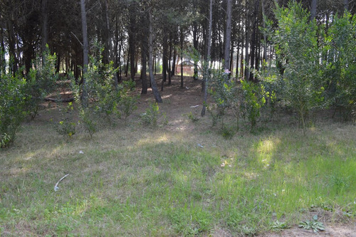 Imagen 1 de 1 de Vendo Lote En Pinamar 141-5