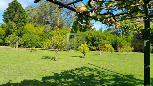 Imagen 7 de 16 de Chacra En Venta Punta Ballena 3 Dormitorios, 4 Hectáreas