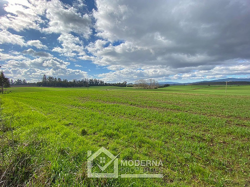 Campo 964 Ha. Con Uva, Forestal Y Forraje