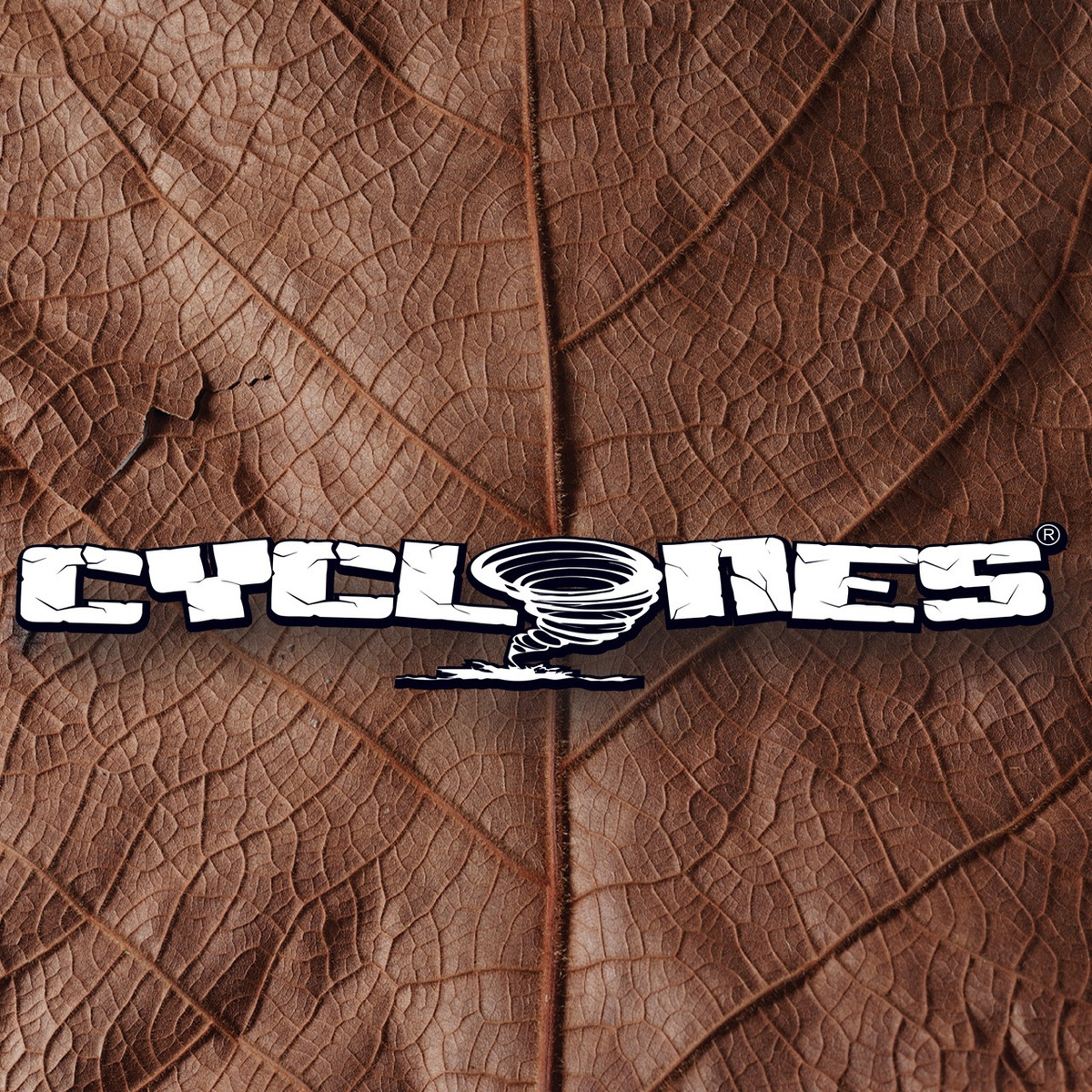 CYCLONES®