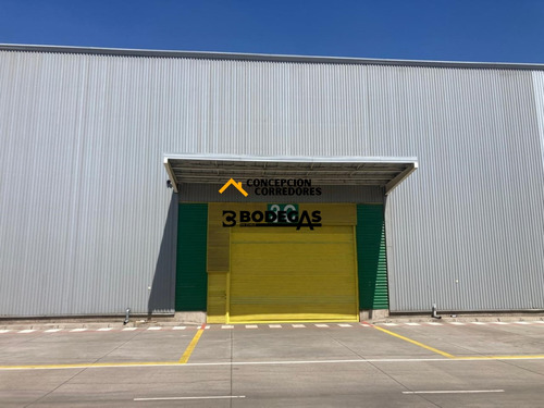Arriendo Bodega De 1616 M2 En Pi Lo Boza.