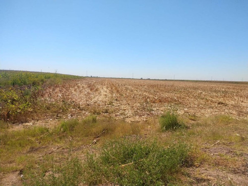 Imagen 4 de 8 de Terreno En Venta